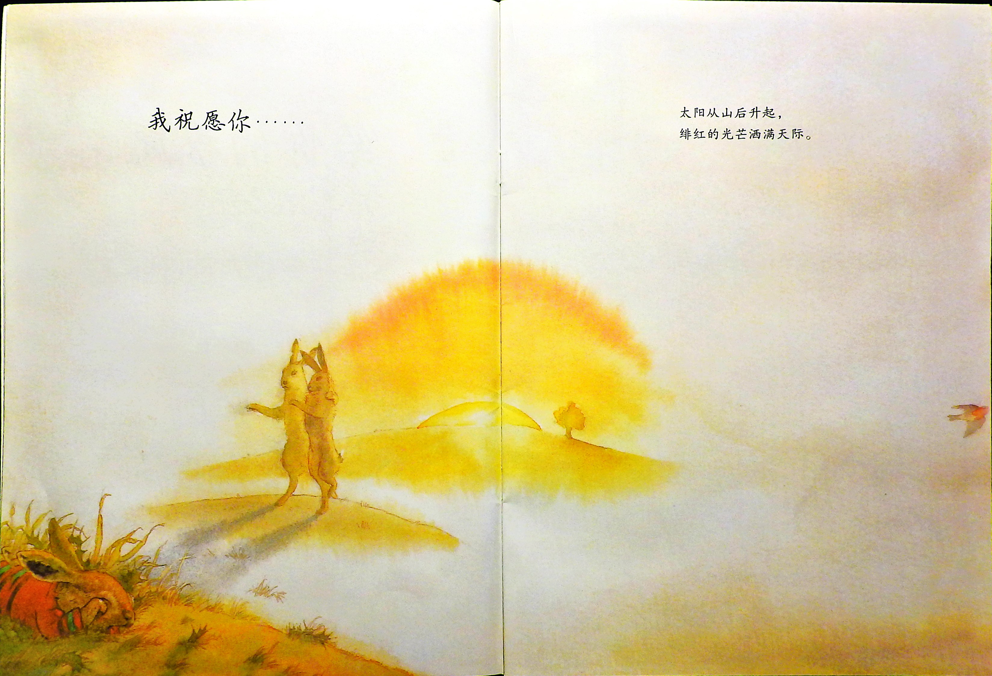 给你的祝愿 (04),绘本,绘本故事,绘本阅读,故事书,童书,图画书,课外阅读